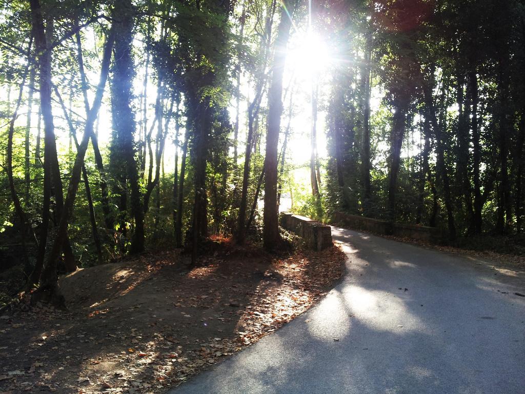 סנטה קולומה דה פרנרס Casa Rural Can Miquel - En Pleno Bosque Y Cerca De La Playa - Increibles Rutas Btt מראה חיצוני תמונה