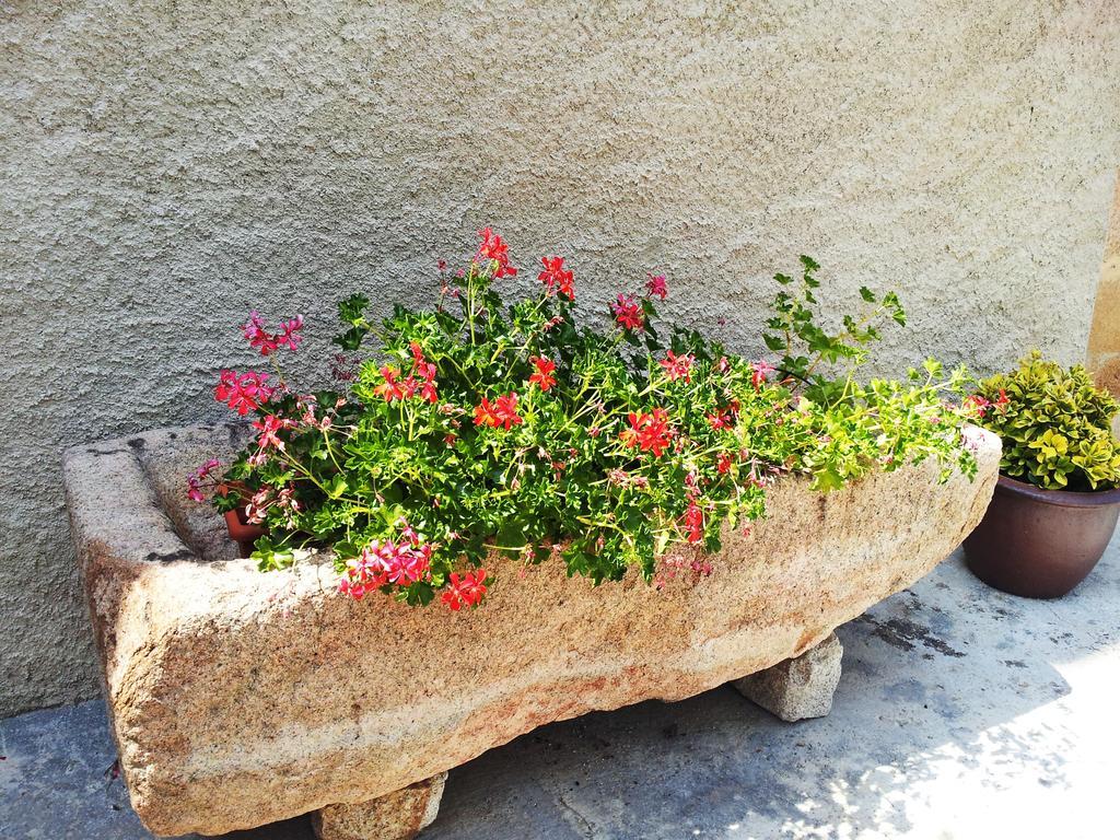 סנטה קולומה דה פרנרס Casa Rural Can Miquel - En Pleno Bosque Y Cerca De La Playa - Increibles Rutas Btt מראה חיצוני תמונה