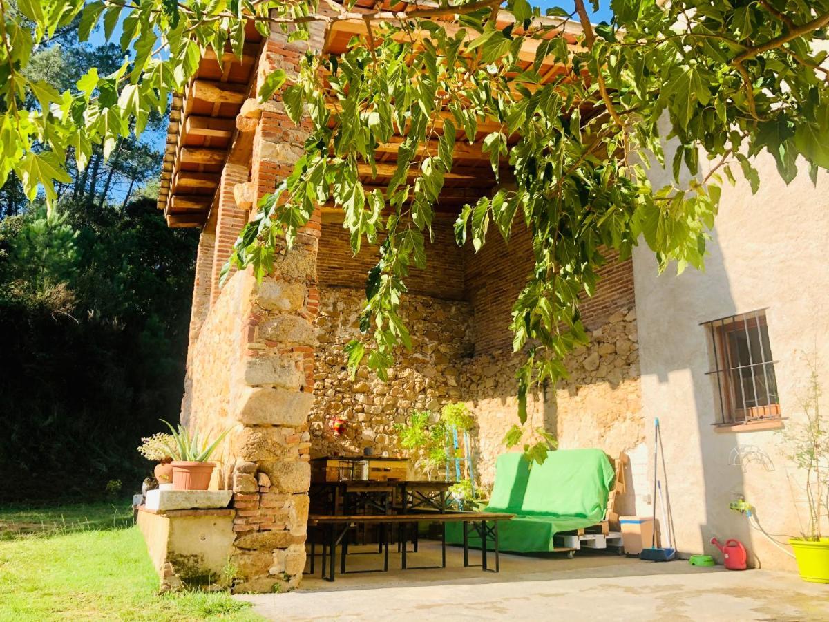 סנטה קולומה דה פרנרס Casa Rural Can Miquel - En Pleno Bosque Y Cerca De La Playa - Increibles Rutas Btt מראה חיצוני תמונה