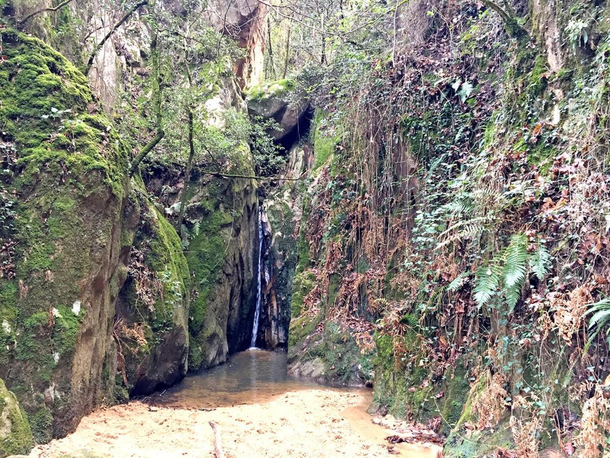 סנטה קולומה דה פרנרס Casa Rural Can Miquel - En Pleno Bosque Y Cerca De La Playa - Increibles Rutas Btt מראה חיצוני תמונה